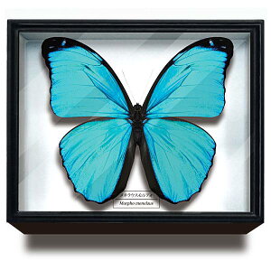 ylEXtHzTCGXeNjJ[ hCc}OlbgRNV tH