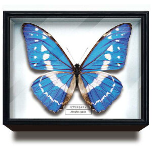 yLvXtHzTCGXeNjJ[ hCc}OlbgRNV tH