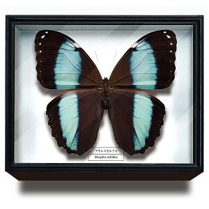 yALXtHzTCGXeNjJ[ hCc}OlbgRNV tH