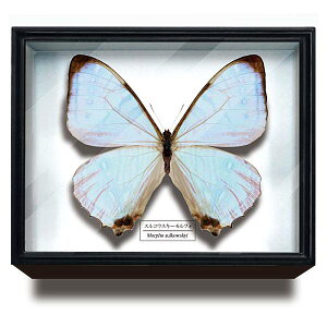 yXREXL[tHzTCGXeNjJ[ hCc}OlbgRNV tH