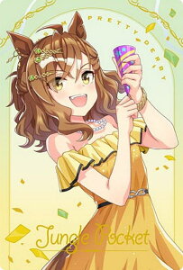 yWSR2-01 WO|Pbg (LN^[J[hhXA) zE} veB[_[r[ cCEGn[X Special R 2025