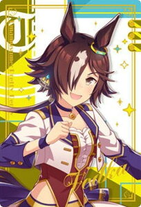 yWSR2-18 EIbJ (LN^[J[hA) zE} veB[_[r[ cCEGn[X Special R 2025