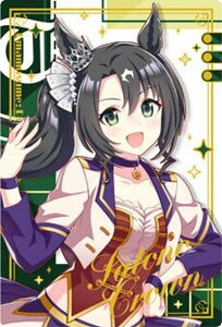 yWSR2-24 TgmNE (LN^[J[hA) zE} veB[_[r[ cCEGn[X Special R 2025