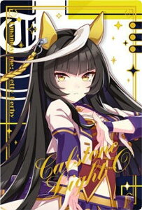 yWSR2-30 JXgCgI (LN^[J[hA) zE} veB[_[r[ cCEGn[X Special R 2025