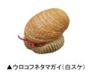 yERtl^}KC(VXP)zlC`[eNjJ[MONO PLUS [C }Olbg&{[`F[2