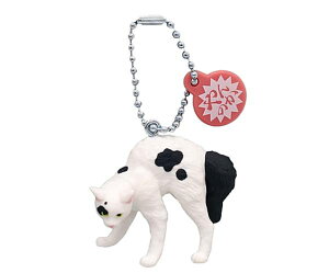 �y�Ԃ����z���̂��L�}�X�R�b�g