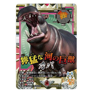 y8.Jozŋ} -The Ultimate Battles- ~j`AJ[hAN