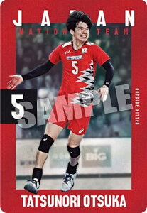 y2-04 ˒B (m[}J[h) zJAPAN NATIONAL VOLLEYBALL TEAM cCEGn[X 2025