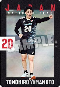 y2-14 R{q (m[}J[h) zJAPAN NATIONAL VOLLEYBALL TEAM cCEGn[X 2025