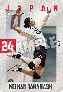 y2-16 c (m[}J[h) zJAPAN NATIONAL VOLLEYBALL TEAM cCEGn[X 2025