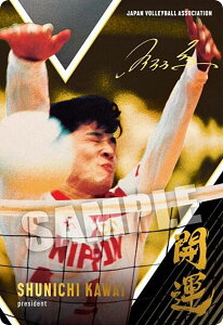 y[TCdl] 2-38 썇r(J^) (XyVJ[h) zJAPAN NATIONAL VOLLEYBALL TEAM cCEGn[X 2025