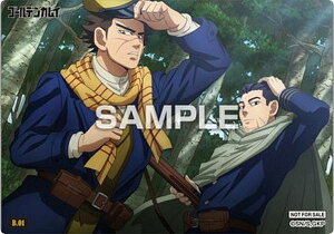 yB.01 ꁕ`SVzS[fJC NAJ[hRNVK 񐶎YBOXwT J[ĥ