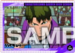 yNo.204 ᗘznCL[!! NAJ[hRNVK5 J[ĥ