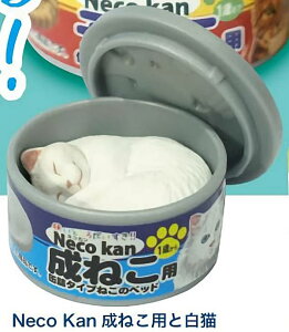 yNeco Kan˂pƔLzLʕ ˂̃xbh