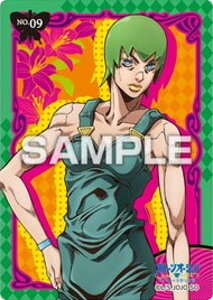 yNo.09 t[Et@C^[YzWW̊Ȗ` Xg[I[V NAJ[hRNVK J[ĥ