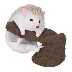 ynlY~iVijz̑} w܂RNV 