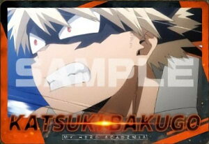 y02.ȁzl̃q[[AJf~A ^J[hRNV4