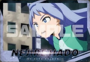 y14.g˂zl̃q[[AJf~A ^J[hRNV4