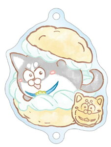 yA.J(nXL[)z g[fBO Ani-Art aqua label ȂANL[z_[