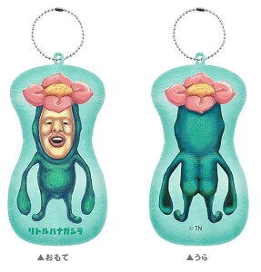 ygniKVzCV тƂÂ NbVL[z_[