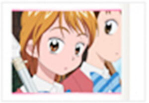 y11.nȂ (m[}) zӂ̓vLA ςႱ