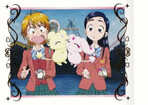 y[dl] 20.nȂق̂ (A) zӂ̓vLA ςႱ