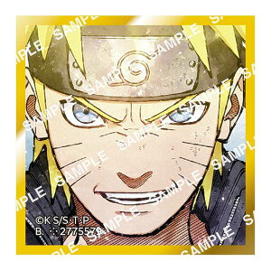 �y�����܂��i���g�z���K�V���F�� NARUTO-�i���g- �����` ��O�e