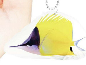 ytGbR_Cz1/1 TSʂ̋ vgʂ݃RNV