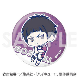 y5.ܐF HznCL[!! 킿!g[fBOʃobW w