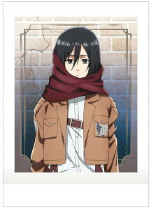 y02 ~JTEAbJ[}zi̋l ςႱ