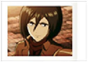 【11 ミカサ・アッカーマン】進撃の巨人 ぱしゃこれ