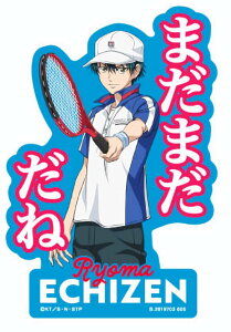 yzO[}(Zt)zoCXebJ[RNV VejX̉ql