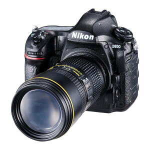 �yNikon D850�FAF-S NIKKOR 24-70mm f/2.8E ED VR�zNikon �~�j�`���A�J�����R���N�V����2
