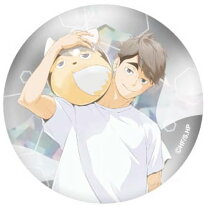 楽天市場】ビーチボール（その他｜コレクション）：ホビーの通販
