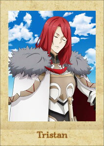 �y27.�g���X�^���z����� Fate/Grand Order -�_���~��̈�L�������b�g- �ς��Ⴑ��