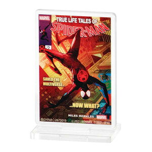 yfUCHzXpC_[}FANXEUEXpC_[o[X ANX^h