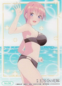 yNo.06 ԁz uV[h g[fBOJ[h RNVNA f ܓ̉ԉ