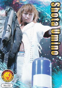 yNo.02 Cđz uV[h g[fBOJ[h RNV V{vX+STARDOM Vol.2