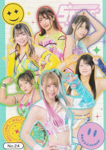 yNo.24 STARSz uV[h g[fBOJ[h RNV V{vX+STARDOM Vol.2