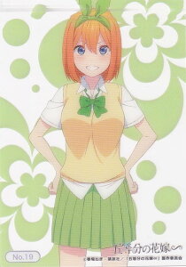 yNo.19 ltz uV[hg[fBOJ[h RNVNA ܓ̉ԉŁ