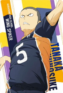 y06.c V (LN^[J[h)z nCL[!! EGn[X4