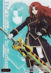 yNo.11 ACXE~hKz uV[h g[fBOJ[h RNVNA A͎̎҂ɂȂ肽!