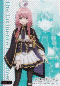 yNo.14 VF[Eo[lbgz uV[h g[fBOJ[h RNVNA A͎̎҂ɂȂ肽!