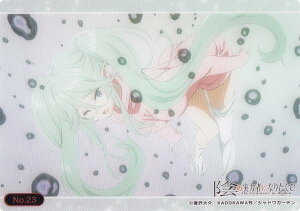 yNo.23 CvVz uV[h g[fBOJ[h RNVNA A͎̎҂ɂȂ肽!