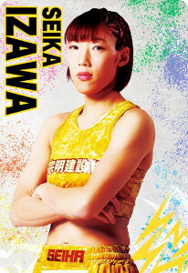 yNo.05 Vԁz RIZINEGn[X