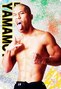 yNo.29 R{A[Zz RIZINEGn[X