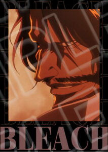 �y���[�n�o�b�n�z BLEACH ��N����� �C���X�^���g�t�H�g���u���}�C�h Vol.1