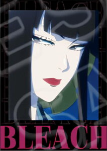 �y�C�������ہz BLEACH ��N����� �C���X�^���g�t�H�g���u���}�C�h Vol.2