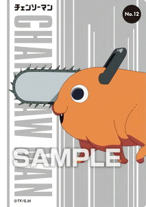 yNo.12 |`^z `F\[} NAJ[hRNVK J[ĥ