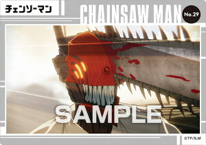 yNo.29 `F\[}z `F\[} NAJ[hRNVK J[ĥ